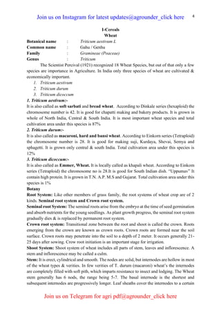 4
I-Cereals
Wheat
Botanical name : Triticum aestivum L
Common name : Gahu / Genhu
Family : Gramineae (Poaceae)
Genus : Triticum
The Scientist Percival (1921) recognized 18 Wheat Species, but out of that only a few
species are importance in Agriculture. In India only three species of wheat are cultivated &
economically important.
1. Triticum aestivum
2. Triticum durum
3. Triticum dicoccum
1. Triticum aestivum:-
It is also called as soft sarbati and bread wheat. According to Dinkale series (hexaploid) the
chromosome number is 42. It is good for chapatti making and bakery products. It is grown in
whole of North India, Central & South India. It is most important wheat species and total
cultivation area under this species is 87%
2. Triticum durum:-
It is also called as macaroni, hard and bansi wheat. According to Einkorn series (Tetraploid)
the chromosome number is 28. It is good for making suji, Kurdaya, Shevai, Semya and
sphagetti. It is grown only central & south India. Total cultivation area under this species is
12%
3. Triticum dicoccum:-
It is also called as Emmer, Wheat. It is locally called as khapali wheat. According to Einkom
series (Tetraploid) the chromosome no is 28.It is good for South Indian dish. “Uppumav” It
contain high protein. It is grown in T.N. A.P. M.S and Gujarat. Total cultivation area under this
species is 1%
Botany
Root System: Like other members of grass family, the root systems of wheat crop are of 2
kinds. Seminal root system and Crown root system.
Seminal root System: The seminal roots arise from the embryo at the time of seed germination
and absorb nutrients for the young seedlings. As plant growth progress, the seminal root system
gradually dies & is replaced by permanent root system.
Crown root system: Transitional zone between the root and shoot is called the crown. Roots
emerging from the crown are known as crown roots. Crown roots are formed near the soil
surface. Crown roots may penetrate into the soil to a depth of 2 meter. It occurs generally 21-
25 days after sowing. Crow root initiation is an important stage for irrigation.
Shoot System: Shoot system of wheat includes all parts of stem, leaves and inflorescence. A
stem and inflorescence may be called a culm.
Stem: It is erect, cylindrical and smooth. The nodes are solid, but internodes are hollow in most
of the wheat types & verities. In few verities of T. durum (macaroni) wheat’s the internodes
are completely filled with soft pith, which imparts resistance to insect and lodging. The Wheat
stem generally has 6 nods, the range being 5-7. The basal internode is the shortest and
subsequent internodes are progressively longer. Leaf sheaths cover the internodes to a certain
Join us on Instagram for latest updates@agrounder_click here
Join us on Telegram for agri pdf@agrounder_click here
 