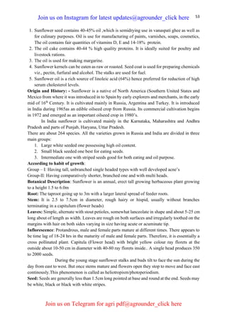 53
1. Sunflower seed contains 40-45% oil ,which is semidrying use in vanaspati ghee as well as
for culinary purposes. Oil is use for manufacturing of paints, varnishes, soaps, cosmetics,
The oil contains fair quantities of vitamins D, E and 14-18% protein.
2. The oil cake contains 40-44 % high quality proteins. It is ideally suited for poultry and
livestock rations.
3. The oil is used for making margarine.
4. Sunflower kernels can be eaten as raw or roasted. Seed coat is used for preparing chemicals
viz., pectin, furfural and alcohol. The stalks are used for fuel.
5. Sunflower oil is a rich source of linoleic acid (64%) hence preferred for reduction of high
serum cholesterol levels.
Origin and History: - Sunflower is a native of North America (Southern United States and
Mexico from where it was introduced in to Spain by early explorers and merchants, in the early
mid of 16th
Century. It is cultivated mainly in Russia, Argentina and Turkey. It is introduced
in India during 1965as an edible oilseed crop from Russia. Its commercial cultivation begins
in 1972 and emerged as an important oilseed crop in 1980’s.
In India sunflower is cultivated mainly in the Karnataka, Maharashtra and Andhra
Pradesh and parts of Punjab, Haryana, Uttar Pradesh.
There are about 264 species. All the varieties grown in Russia and India are divided in three
main groups:
1. Large white seeded one possessing high oil content.
2. Small black seeded one best for eating seeds.
3. Intermediate one with striped seeds good for both eating and oil purpose.
According to habit of growth:
Group – I: Having tall, unbranched single headed types with well developed acne’s
Group-II: Having comparatively shorter, branched one and with multi heads.
Botanical Description: Sunflower is an annual, erect tall growing herbaceous plant growing
to a height 1.5 to 6.0m
Root: The taproot going up to 3m with a larger lateral spread of feeder roots.
Stem: It is 2.5 to 7.5cm in diameter, rough hairy or hispid, usually without branches
terminating in a capitulum (flower heads)
Leaves: Simple, alternate with stout petioles, somewhat lanceolate in shape and about 5-25 cm
long about of length as width. Leaves are rough on both surfaces and irregularly toothed on the
margins with hair on both sides varying in size having acute or acuminate tip.
Inflorescence: Protandrous, male and female parts mature at different times. There appears to
be time lag of 18-24 hrs in the maturity of male and female parts. Therefore, it is essentially a
cross pollinated plant. Capitula (Flower head) with bright yellow colour ray florets at the
outside about 10-50 cm in diameter with 40-80 ray florets inside.. A single head produces 350
to 2000 seeds.
During the young stage sunflower stalks and buds tilt to face the sun during the
day from east to west. But once stems mature and flowers open they stop to move and face east
continously.This phenomenon is called as heliotropism/photoperiodism.
Seed: Seeds are generally less than 1.5cm long pointed at base and round at the end. Seeds may
be white, black or black with white stripes.
Join us on Instagram for latest updates@agrounder_click here
Join us on Telegram for agri pdf@agrounder_click here
 