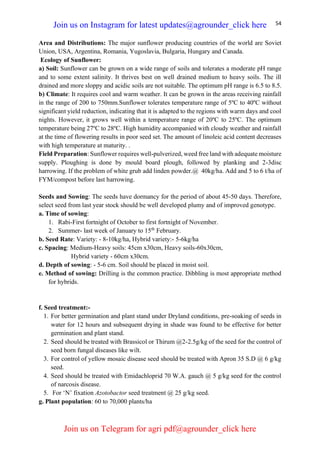 54
Area and Distributions: The major sunflower producing countries of the world are Soviet
Union, USA, Argentina, Romania, Yugoslavia, Bulgaria, Hungary and Canada.
Ecology of Sunflower:
a) Soil: Sunflower can be grown on a wide range of soils and tolerates a moderate pH range
and to some extent salinity. It thrives best on well drained medium to heavy soils. The ill
drained and more sloppy and acidic soils are not suitable. The optimum pH range is 6.5 to 8.5.
b) Climate: It requires cool and warm weather. It can be grown in the areas receiving rainfall
in the range of 200 to 750mm.Sunflower tolerates temperature range of 5ºC to 40ºC without
significant yield reduction, indicating that it is adapted to the regions with warm days and cool
nights. However, it grows well within a temperature range of 20ºC to 25ºC. The optimum
temperature being 27ºC to 28ºC. High humidity accompanied with cloudy weather and rainfall
at the time of flowering results in poor seed set. The amount of linoleic acid content decreases
with high temperature at maturity. .
Field Preparation: Sunflower requires well-pulverized, weed free land with adequate moisture
supply. Ploughing is done by mould board plough, followed by planking and 2-3disc
harrowing. If the problem of white grub add linden powder.@ 40kg/ha. Add and 5 to 6 t/ha of
FYM/compost before last harrowing.
Seeds and Sowing: The seeds have dormancy for the period of about 45-50 days. Therefore,
select seed from last year stock should be well developed plumy and of improved genotype.
a. Time of sowing:
1. Rabi-First fortnight of October to first fortnight of November.
2. Summer- last week of January to 15th
February.
b. Seed Rate: Variety: - 8-10kg/ha, Hybrid variety:- 5-6kg/ha
c. Spacing: Medium-Heavy soils: 45cm x30cm, Heavy soils-60x30cm,
Hybrid variety - 60cm x30cm.
d. Depth of sowing: - 5-6 cm. Soil should be placed in moist soil.
e. Method of sowing: Drilling is the common practice. Dibbling is most appropriate method
for hybrids.
f. Seed treatment:-
1. For better germination and plant stand under Dryland conditions, pre-soaking of seeds in
water for 12 hours and subsequent drying in shade was found to be effective for better
germination and plant stand.
2. Seed should be treated with Brassicol or Thirum @2-2.5g/kg of the seed for the control of
seed born fungal diseases like wilt.
3. For control of yellow mosaic disease seed should be treated with Apron 35 S.D @ 6 g/kg
seed.
4. Seed should be treated with Emidachloprid 70 W.A. gauch @ 5 g/kg seed for the control
of narcosis disease.
5. For ‘N’ fixation Azotobactor seed treatment @ 25 g/kg seed.
g. Plant population: 60 to 70,000 plants/ha
Join us on Instagram for latest updates@agrounder_click here
Join us on Telegram for agri pdf@agrounder_click here
 