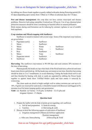 56
by rubbing two flower heads together or gently rubbed with palm during flowering period (50-
65 days) depending upon variety from 7.00am to 11.00am on alternate days for 7-8 days.
Pest and disease management: this crop does not have serious insect-pest and disease
problems. However leaf eating caterpillar if noticed use 10%sevin. Use of any chemical plant
protection measures should be done considering no harmful effect on natural pollinators.
Birds menace during seed formation can be reducing by constant vigilance or use of suitable
bird repellants.
Crop rotations and Mixed cropping with Sunflower:
Sunflower is raised in rotation with several crops. Some of the important crop rotations
are given below:
1. Pigeonpea (early) - Sunflower
2. Maize - Sunflower
3. Maize - Potato - Sunflower
4. Maize - Toria - Sunflower
5. Rice - Sunflower -
6. Maize - Torja - Sunflower
7. Sugarcane ratoon - Sunflower -
8. Sunflower - Sunflower
Harvesting: The sunflower crop matures in 90-100 days and seed contains 20% moisture at
the time of harvesting.
Phenotypically the heads are ripe when back of the floral head turns yellowish and outer
bracts turns brown and dried up. All the heads may not mature at one time, therefore harvesting
should be done in 2 to 3 installments, to avoid shattering. Cutting the heads dried well in sun
and then threshed by beating with stick or seeds are separated by rubbing the flower heads
together or against metal sheet. Unfilled broken seeds and inert matter is removed by
winnowing.
The clean seeds are dried in bright sunlight well to reduce moisture per cent up to 8-
10%. If grains are reserved for seed stock, it should be treated with Brassicol and bagged at 6%
moisture level for better keeping quality and germination.
Yield : (i) Rainfed : (i) Variety - 8-10 q/ha. ii) Hybrid – 12-15 q/ha and
Irrigated: Hybrid - 17-20q/ha.
Question bank
1. Prepare the leaflet with the help of points given regarding rabi sunflower.
a. Soil & land preparation. b. Seeds & sowing
c. Varieties d. Harvesting & yield.
2. Discuss in brief the following aspects of cultivation of Sunflower
a. Irrigation management b.Manure & fertilizer application
/Nutrient management
c. After care /Interculturing d.Harvesting & Yield
Join us on Instagram for latest updates@agrounder_click here
Join us on Telegram for agri pdf@agrounder_click here
 
