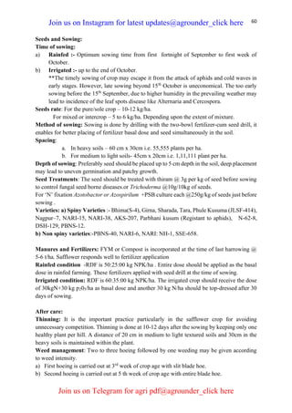 60
Seeds and Sowing:
Time of sowing:
a) Rainfed :- Optimum sowing time from first fortnight of September to first week of
October.
b) Irrigated :- up to the end of October.
**The timely sowing of crop may escape it from the attack of aphids and cold waves in
early stages. However, late sowing beyond 15th
October is uneconomical. The too early
sowing before the 15th
September, due to higher humidity in the prevailing weather may
lead to incidence of the leaf spots disease like Alternaria and Cercospora.
Seeds rate: For the pure/sole crop – 10-12 kg/ha.
For mixed or intercrop – 5 to 6 kg/ha. Depending upon the extent of mixture.
Method of sowing: Sowing is done by drilling with the two-bowl fertilizer-cum seed drill, it
enables for better placing of fertilizer basal dose and seed simultaneously in the soil.
Spacing:
a. In heavy soils – 60 cm x 30cm i.e. 55,555 plants per ha.
b. For medium to light soils- 45cm x 20cm i.e. 1,11,111 plant per ha.
Depth of sowing: Preferably seed should be placed up to 5 cm depth in the soil, deep placement
may lead to uneven germination and patchy growth.
Seed Treatments: The seed should be treated with thiram @ 3g per kg of seed before sowing
to control fungal seed borne diseases.or Trichoderma @10g/10kg of seeds.
For ‘N’ fixation Azotobactor or Azospirilum +PSB culture each @250g/kg of seeds just before
sowing .
Varieties: a) Spiny Varieties :- Bhima(S-4), Girna, Sharada, Tara, Phule Kusuma (JLSF-414),
Nagpur–7, NARI-15, NARI-38, AKS-207, Parbhani kusum (Registant to aphids), N-62-8,
DSH-129, PBNS-12.
b) Non spiny varieties:-PBNS-40, NARI-6, NARI: NH-1, SSE-658.
Manures and Fertilizers: FYM or Compost is incorporated at the time of last harrowing @
5-6 t/ha. Safflower responds well to fertilizer application
Rainfed condition -RDF is 50:25:00 kg NPK/ha . Entire dose should be applied as the basal
dose in rainfed farming. These fertilizers applied with seed drill at the time of sowing.
Irrigated condition: RDF is 60:35:00 kg NPK/ha. The irrigated crop should receive the dose
of 30kgN+30 kg p205/ha as basal dose and another 30 kg N/ha should be top-dressed after 30
days of sowing.
After care:
Thinning: It is the important practice particularly in the safflower crop for avoiding
unnecessary competition. Thinning is done at 10-12 days after the sowing by keeping only one
healthy plant per hill. A distance of 20 cm in medium to light textured soils and 30cm in the
heavy soils is maintained within the plant.
Weed management: Two to three hoeing followed by one weeding may be given according
to weed intensity.
a) First hoeing is carried out at 3rd
week of crop age with slit blade hoe.
b) Second hoeing is carried out at 5 th week of crop age with entire blade hoe.
Join us on Instagram for latest updates@agrounder_click here
Join us on Telegram for agri pdf@agrounder_click here
 
