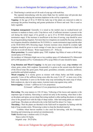 61
c) Third hoeing is carried out at 8 th week of crop age with tooth hoe.
The repeated interculturing with the entire blade hoe for rainfed crop will provide dust
mulch thereby reducing the moisture depletion in the soil by evaporation.
Topping: At the age of 30 to 35 DAS the leafy top of the plants are removed in order to
encourage the profuse branching and greater production of flower and seed. This is used as
leafy vegetable.
Irrigation management: Generally it is raised as the rainfed crop on residual/stored soil
moisture in medium to heavy soils. Crop thrives well, if sufficient moisture is present in the
soil during the initial stages of its growth i.e. up to 25 to 30 DAS (Grand growth/rosette
termination stage). If the moisture is insufficient at the time of sowing, crop should be sown
by giving presoaking irrigation. Not more than two irrigations are needed by the crop, and these
two irrigation should be scheduled one 30-35 DAS (i.e. rosette termination stage) and the other
at the 50-60 DAS (50% flowering stage). Extreme moisture stress should be avoided; light
irrigation should be given to avoid wastage of water due to crack development in black soil
and also to avoid wilt disease. Water requirement is 25 – 30 ha cm.
Plant protection: To control aphids spray 75SP Asiphate 16g/10litre of water at 40-45 days
second spray at 55-60 days.
On incidence of Alternaria blight one or two combine spray of Carbendazim12%+Mencozeb
(63%) OR Eprodion (25%) +Carbendazim (25%) @2g/10litre of water should be taken.
Crop Rotation and Mixed Cropping: As the pure crop (single crop), crop rotation with
wheat, gram, cotton, Rabi sorghum. Occasionally it is grown as the second crop after harvest
of the Kharif crops like green gram, black gram, groundnut, coriander, sesamum, sunflower,
pearlimillet and hybrid sorghum.
Mixed cropping: It is mostly grown as mixture with wheat, barley and Rabi sorghum,
generally 3 rows of the safflower being sown after the every 9, th 12th
or more rows of the
main crop. Sometimes it sown as the border strip crop surrounding the main crop of wheat,
Rabi sorghum etc, due to its spiny nature, it protect main crop against stray cattle.
Intercropping : 1) Gram + safflower (6:3 row proportion)
2) Linseed + safflower 4:2 row proportion) are found beneficial.
Harvesting: The crop matures in 130-135 days. Yellowing of the leaves and capsules is the
important sign of maturity. Harvesting is carried out early in the morning, when there is dew
on the plants and spines are not sharp Harvesting method is either pulling the plants or cutting
close to the ground level with the help of sharp sickles. After harvesting plants are staked in
small heaps. The plants are allowed to dry in the field itself for about 2 to 3 days.
Threshing : Then the plants are threshed in the field itself on tarpaulins by beating with the
help of long wooden sticks. Winnowing is done to clean the threshed material.
Combine wheat harvest machine is also used for harvesting, with this harvesting,
threshing and winnowing are carried out simultaneously.
Yield: Rainfed crop- ( medium soils) 12-14 q/ha.
Heavy soils)-14-16q/ha
Irrigated crop- 20-25 Q/ha.
Join us on Instagram for latest updates@agrounder_click here
Join us on Telegram for agri pdf@agrounder_click here
 