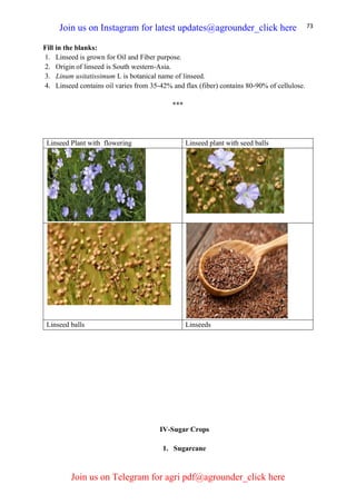 73
Fill in the blanks:
1. Linseed is grown for Oil and Fiber purpose.
2. Origin of linseed is South western-Asia.
3. Linum usitatissimum L is botanical name of linseed.
4. Linseed contains oil varies from 35-42% and flax (fiber) contains 80-90% of cellulose.
***
Linseed Plant with flowering Linseed plant with seed balls
Linseed balls Linseeds
IV-Sugar Crops
1. Sugarcane
Join us on Instagram for latest updates@agrounder_click here
Join us on Telegram for agri pdf@agrounder_click here
 