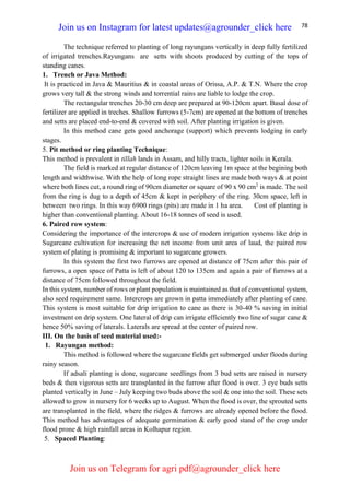 78
The technique referred to planting of long rayungans vertically in deep fully fertilized
of irrigated trenches.Rayungans are setts with shoots produced by cutting of the tops of
standing canes.
1. Trench or Java Method:
It is practiced in Java & Mauritius & in coastal areas of Orissa, A.P. & T.N. Where the crop
grows very tall & the strong winds and torrential rains are liable to lodge the crop.
The rectangular trenches 20-30 cm deep are prepared at 90-120cm apart. Basal dose of
fertilizer are applied in treches. Shallow furrows (5-7cm) are opened at the bottom of trenches
and setts are placed end-to-end & covered with soil. After planting irrigation is given.
In this method cane gets good anchorage (support) which prevents lodging in early
stages.
5. Pit method or ring planting Technique:
This method is prevalent in tillah lands in Assam, and hilly tracts, lighter soils in Kerala.
The field is marked at regular distance of 120cm leaving 1m space at the begining both
length and widthwise. With the help of long rope straight lines are made both ways & at point
where both lines cut, a round ring of 90cm diameter or square of 90 x 90 cm2
is made. The soil
from the ring is dug to a depth of 45cm & kept in periphery of the ring. 30cm space, left in
between two rings. In this way 6900 rings (pits) are made in 1 ha area. Cost of planting is
higher than conventional planting. About 16-18 tonnes of seed is used.
6. Paired row system:
Considering the importance of the intercrops & use of modern irrigation systems like drip in
Sugarcane cultivation for increasing the net income from unit area of laud, the paired row
system of plating is promising & important to sugarcane growers.
In this system the first two furrows are opened at distance of 75cm after this pair of
furrows, a open space of Patta is left of about 120 to 135cm and again a pair of furrows at a
distance of 75cm followed throughout the field.
In this system, number of rows or plant population is maintained as that of conventional system,
also seed requirement same. Intercrops are grown in patta immediately after planting of cane.
This system is most suitable for drip irrigation to cane as there is 30-40 % saving in initial
investment on drip system. One lateral of drip can irrigate efficiently two line of sugar cane &
hence 50% saving of laterals. Laterals are spread at the center of paired row.
III. On the basis of seed material used:-
1. Rayungan method:
This method is followed where the sugarcane fields get submerged under floods during
rainy season.
If adsali planting is done, sugarcane seedlings from 3 bud setts are raised in nursery
beds & then vigorous setts are transplanted in the furrow after flood is over. 3 eye buds setts
planted vertically in June – July keeping two buds above the soil & one into the soil. These sets
allowed to grow in nursery for 6 weeks up to August. When the flood is over, the sprouted setts
are transplanted in the field, where the ridges & furrows are already opened before the flood.
This method has advantages of adequate germination & early good stand of the crop under
flood prone & high rainfall areas in Kolhapur region.
5. Spaced Planting:
Join us on Instagram for latest updates@agrounder_click here
Join us on Telegram for agri pdf@agrounder_click here
 