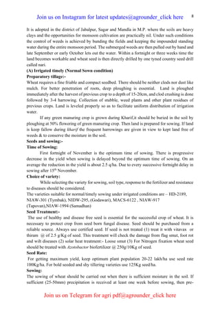 8
It is adopted in the district of Jabalpur, Sagar and Mandla in M.P. where the soils are heavy
clays and the opportunities for monsoon cultivation are practically nil. Under such conditions
the control of weeds is achieved by bunding the fields and keeping the impounded standing
water during the entire monsoon period. The submerged weeds are then pulled out by hand and
late September or early October lets out the water. Within a fortnight or three weeks time the
land becomes workable and wheat seed is then directly drilled by one tyned country seed drill
called nari.
(A) Irrigated timely (Normal Sown condition)
Preparatory tillage:-
Wheat requires a fine friable and compact seedbed. There should be neither clods nor dust like
mulch. For better penetration of roots, deep ploughing is essential. Land is ploughed
immediately after the harvest of previous crop to a depth of 15-20cm, and clod crushing is done
followed by 3-4 harrowing. Collection of stubble, weed plants and other plant residues of
previous crops. Land is leveled properly so as to facilitate uniform distribution of irrigation
water.
If any green manuring crop is grown during Kharif,it should be buried in the soil by
ploughing at 50% flowering of green manuring crop. Then land is prepared for sowing. If land
is keep fallow during kharif the frequent harrowings are given in view to kept land free of
weeds & to conserve the moisture in the soil.
Seeds and sowing:-
Time of Sowing:
First fortnight of November is the optimum time of sowing. There is progressive
decrease in the yield when sowing is delayed beyond the optimum time of sowing. On an
average the reduction in the yield is about 2.5 q/ha. Due to every successive fortnight delay in
sowing after 15th
November.
Choice of variety:
While selecting the variety for sowing, soil type, response to the fertilizer and resistance
to diseases should be considered.
The varieties suitable for normal/timely sowing under irrigated conditions are – HD-2189,
NIAW-301 (Tymbak), NIDW-295, (Godawari), MACS-6122 , NIAW-917
(Tapovan),NIAW-1994 (Samadhan)
Seed Treatment:-
The use of healthy and disease free seed is essential for the successful crop of wheat. It is
necessary to protect crop from seed born fungal disease. Seed should be purchased from a
reliable source. Always use certified seed. If seed is not treated (1) treat it with vitavax or
thiram @ of 2.5 g/Kg of seed. This treatment will check the damage from flag smut, foot rot
and wilt diseases (2) solar heat treatment:- Loose smut (3) For Nitrogen fixation wheat seed
should be treated with Azotobactor biofertilizer @ 250g/10Kg of seed.
Seed Rate:
For getting maximum yield, keep optimum plant population 20-22 lakh/ha use seed rate
100Kg/ha. For bold seeded and shy tillering varieties use 125Kg seed/ha.
Sowing:
The sowing of wheat should be carried out when there is sufficient moisture in the soil. If
sufficient (25-50mm) precipitation is received at least one week before sowing, then pre-
Join us on Instagram for latest updates@agrounder_click here
Join us on Telegram for agri pdf@agrounder_click here
 
