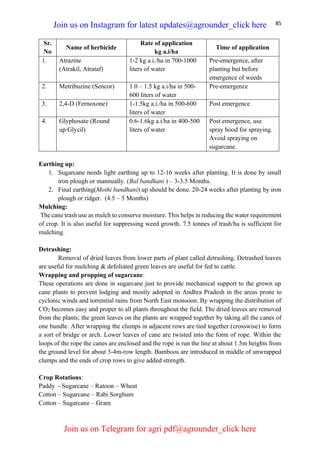85
Sr.
No
Name of herbicide
Rate of application
kg a.i/ha
Time of application
1. Atrazine
(Atrakil, Atrataf)
1-2 kg a.i./ha in 700-1000
liters of water
Pre-emergence, after
planting but before
emergence of weeds
2. Metribuzine (Sencor) 1.0 – 1.5 kg a.i/ha in 500-
600 liters of water
Pre-emergence
3. 2,4-D (Fernoxone) 1-1.5kg a.i./ha in 500-600
liters of water
Post emergence
4. Glyphosate (Round
up/Glycil)
0.6-1.6kg a.i/ha in 400-500
liters of water
Post emergence, use
spray hood for spraying.
Avoid spraying on
sugarcane.
Earthing up:
1. Sugarcane needs light earthing up to 12-16 weeks after planting. It is done by small
iron plough or mannually. (Bal bandhani ) – 3-3.5 Months.
2. Final earthing(Mothi bandhani) up should be done. 20-24 weeks after planting by iron
plough or ridger. (4.5 – 5 Months)
Mulching:
The cane trash use as mulch to conserve moisture. This helps in reducing the water requirement
of crop. It is also useful for suppressing weed growth. 7.5 tonnes of trash/ha is sufficient for
mulching.
Detrashing:
Removal of dried leaves from lower parts of plant called detrashing. Detrashed leaves
are useful for mulching & defoliated green leaves are useful for fed to cattle.
Wrapping and propping of sugarcane:
These operations are done in sugarcane just to provide mechanical support to the grown up
cane plants to prevent lodging and mostly adopted in Andhra Pradesh in the areas prone to
cyclonic winds and torrential rains from North East monsoon. By wrapping the distribution of
CO2 becomes easy and proper to all plants throughout the field. The dried leaves are removed
from the plants; the green leaves on the plants are wrapped together by taking all the canes of
one bundle. After wrapping the clumps in adjacent rows are tied together (crosswise) to form
a sort of bridge or arch. Lower leaves of cane are twisted into the form of rope. Within the
loops of the rope the canes are enclosed and the rope is run the line at about 1.5m heights from
the ground level for about 3-4m-row length. Bamboos are introduced in middle of unwrapped
clumps and the ends of crop rows to give added strength.
Crop Rotations:
Paddy - Sugarcane – Ratoon – Wheat
Cotton – Sugarcane – Rabi Sorghum
Cotton – Sugarcane – Gram
Join us on Instagram for latest updates@agrounder_click here
Join us on Telegram for agri pdf@agrounder_click here
 