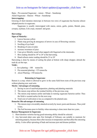 86
Bajra – Pre-seasonal Sugarcane – ratoon – Wheat – Sunnhemp
Adsali Sugarcane – Ratoon – Wheat – Sunnhemp
Intercropping:
Growing of short duration intercrops in between two rows of sugarcane has become almost
adopted practice in sugarcane.
Sugarcane is usually intercropped with maize, onion, garlic, potato, bhendi, peas,
cowpea, soybean, Cole crops, mustard and gram.
Harvesting:
Signs of Maturity:
1. Leaves become yellow
2. Plants stop growing & emergence of arrows in case of flowering varieties.
3. Swelling of eye buds’
4. Breaking of cane at nodes
5. increase sweetness of juice
6. Cane gives Metallic sound when tapped with fingernail at the internodes.
7. Brix reading should be 19º to 24º at the harvesting.
8. Hand refracto meter reading should be 21 to 24º
Harvesting is done by means of cutting the plant at bottom with sharp chopper, detrash the
trash & cut the tops.
Yield:-
1. Suru planting: - 100 tonnes/ha
3. Pre-seasonal planting:- 125 tonnes/ha
4. Adsali Planting:- 150 tonnes/ha
Ratooning in Sugarcane:
Ratoon is a crop, which is allowed to grow in the same field from roots of the previous crop
without planting new seed setts.
Merits / Advantages of ratooning.
1. Saving in cost of seed bed preparation, planting and planting materials
2. The ratoon crop utilizes the residual fertility of the previous crop.
3. The ratoon crop matures earlier and helps in running sugarcane factories earlier. Thus
the field is vacated earlier for the next crop.
4. Total cost of cultivation is less as compared to the planted cane.
Demerits/ Dis-advantages of ratooning.
1. The ratoon crop is invariably attacked severely by insect, pests and diseases. Thus yield
is less.
2. The Soil becomes poor in fertility when ratooning is done more than two years.
Ratoon Management in Sugarcane.
1. Short duration varieties having good ratooning ability should be selected.
2. Any harvested plant cane upto first fortnight of February can suitable to maintain for
ratooning purpose, because there after increase in temperature and that affect the ratooning
ability. It also affect sprouting of buds and increase pest and disease problem.
Join us on Instagram for latest updates@agrounder_click here
Join us on Telegram for agri pdf@agrounder_click here
 