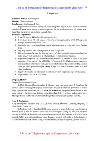91
2. Sugar beet
Botanical Name :- Beta Vulgaris
Family:- Chenopodiaceae
Local name:- Sharkarakand, Beet.
Sugar beet is cultivated mostly in colder temperate region. It is a biennial crop but
usually cultivated as an annual crop for sugar and for the seed production till second year.
Sugar beet has a larger tap root and reduced stem.
Economic importance:
1. It provides about 44% of world sugar production.
2. It produces about 50 – 70 tonnes of roots/ha with sugar content of 15-16% & on an
average sugar recovery of 10-12 %
3. Beet pulp, after extraction of juice may be used as a nutritive cattle feed, either fresh or
dried.
4. Dry pulp contains 60% carbohydrates (CHO), 5% protein.
5. The molasses can be used for feed and variety of other industrial uses in manufacturing
Citric acid, Yeast, antibiotics & other products of fermentation industry.
6. Sugarbeet also yields 7-10 tonnes of green tops useful as a fodder to cattle or for green
manuring. Green tops of 1 ha, add 100kg, ‘N’ to the soil. Freshly harvested tops contain
oxalic acid that is harmful to cattle, this harmful effect may be counteracted by addition
of 60 gm finely ground lime per 100 kg of tops or it should be mixed up to 20% with
other roughages.
7. Sugarbeet is useful for cultivation on salty soils where Sugarcane is poorly yielding.
8. Tops contain 10% CP & 60% TDN.
Origin & History:
Origin-Mediterranean Region:
In 1746, German Chemist Andreo S. Margrave analyzed many plants & found that the
crystals formed from sugar beet juice had the same physical & chemical properties as that of
sugar crystals from sugar cane juice. Franz Carl Achard and recognized as the Father of beet
sugar industry. He discovered that the white skinned & fleshy type beets had sweetest juice.
These guidelines laid to the development of sugar beet varieties & Sugarbeet industry.
Area & Production:
Crop of temperate countries like U.S.A., Russia, Sweden, Denmark, Germany, Belgium, &
Netherlands, France, etc.
In Kashmir valley, Sugarbeet holds out a promise as a rain fed spring crop. Since it a
biennial plant & does not produce seeds until the second year. During the first year, the roots
develop to full size & in the second year seeds are produced. The beetroot is richest in sugar
content slightly above the middle and sugar decreases towards both ends. In India, Sugarbeet
is cultivated mostly in Kashmir valley,Himachal Pradesh,Punjab,Haryana,Rajasthan and U.P.
Join us on Instagram for latest updates@agrounder_click here
Join us on Telegram for agri pdf@agrounder_click here
 