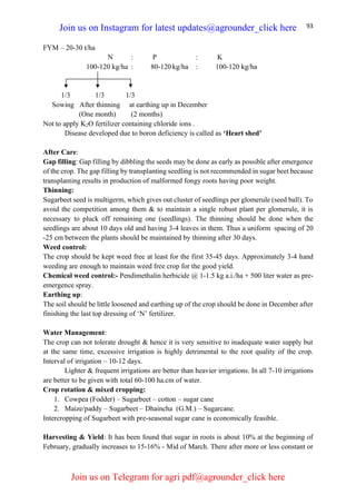 93
FYM – 20-30 t/ha
N : P : K
100-120 kg/ha : 80-120 kg/ha : 100-120 kg/ha
1/3 1/3 1/3
Sowing After thinning at earthing up in December
(One month) (2 months)
Not to apply K2O fertilizer containing chloride ions .
Disease developed due to boron deficiency is called as ‘Heart shed’
After Care:
Gap filling: Gap filling by dibbling the seeds may be done as early as possible after emergence
of the crop. The gap filling by transplanting seedling is not recommended in sugar beet because
transplanting results in production of malformed fongy roots having poor weight.
Thinning:
Sugarbeet seed is multigerm, which gives out cluster of seedlings per glomerule (seed ball). To
avoid the competition among them & to maintain a single robust plant per glomerule, it is
necessary to pluck off remaining one (seedlings). The thinning should be done when the
seedlings are about 10 days old and having 3-4 leaves in them. Thus a uniform spacing of 20
-25 cm between the plants should be maintained by thinning after 30 days.
Weed control:
The crop should be kept weed free at least for the first 35-45 days. Approximately 3-4 hand
weeding are enough to maintain weed free crop for the good yield.
Chemical weed control:- Pendimethalin herbicide @ 1-1.5 kg a.i./ha + 500 liter water as pre-
emergence spray.
Earthing up:
The soil should be little loosened and earthing up of the crop should be done in December after
finishing the last top dressing of ‘N’ fertilizer.
Water Management:
The crop can not tolerate drought & hence it is very sensitive to inadequate water supply but
at the same time, excessive irrigation is highly detrimental to the root quality of the crop.
Interval of irrigation – 10-12 days.
Lighter & frequent irrigations are better than heavier irrigations. In all 7-10 irrigations
are better to be given with total 60-100 ha.cm of water.
Crop rotation & mixed cropping:
1. Cowpea (Fodder) – Sugarbeet – cotton – sugar cane
2. Maize/paddy – Sugarbeet – Dhaincha (G.M.) – Sugarcane.
Intercropping of Sugarbeet with pre-seasonal sugar cane is economically feasible.
Harvesting & Yield: It has been found that sugar in roots is about 10% at the beginning of
February, gradually increases to 15-16% - Mid of March. There after more or less constant or
Join us on Instagram for latest updates@agrounder_click here
Join us on Telegram for agri pdf@agrounder_click here
 