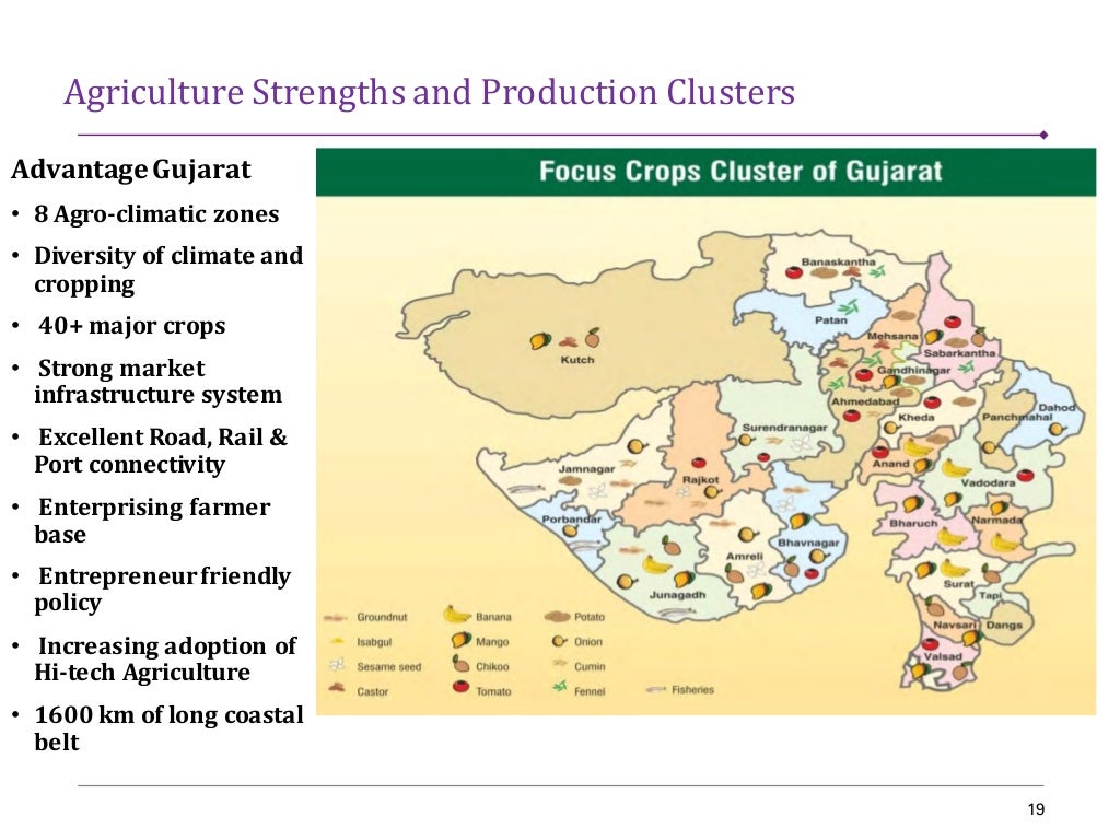 Agro and Food Processing Sector