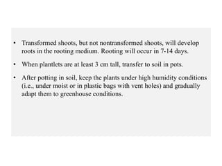 • Transformed shoots, but not nontransformed shoots, will develop
roots in the rooting medium. Rooting will occur in 7-14 days.
• When plantlets are at least 3 cm tall, transfer to soil in pots.
• After potting in soil, keep the plants under high humidity conditions
(i.e., under moist or in plastic bags with vent holes) and gradually
adapt them to greenhouse conditions.
 