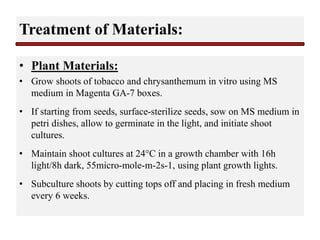 Treatment of Materials:
• Plant Materials:
• Grow shoots of tobacco and chrysanthemum in vitro using MS
medium in Magenta GA-7 boxes.
• If starting from seeds, surface-sterilize seeds, sow on MS medium in
petri dishes, allow to germinate in the light, and initiate shoot
cultures.
• Maintain shoot cultures at 24°C in a growth chamber with 16h
light/8h dark, 55micro-mole-m-2s-1, using plant growth lights.
• Subculture shoots by cutting tops off and placing in fresh medium
every 6 weeks.
 