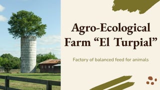 Agro-Ecological
Farm “El Turpial”
Factory of balanced feed for animals
 