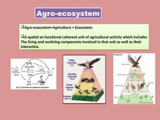 agro-ecological situation and agro-ecosystem approach.pptx