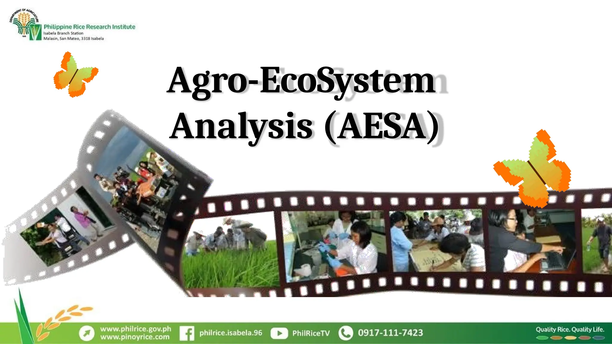 Agro-Ecosystem-Analysis-AESA.pptx12345678 | PPTX