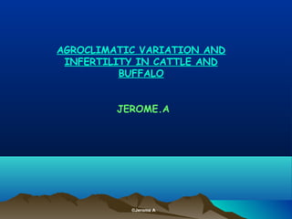 AGROCLIMATIC VARIATION AND
 INFERTILITY IN CATTLE AND
          BUFFALO


         JEROME.A




           ©Jerome A
 