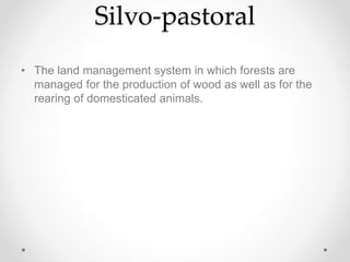 Silvo-pastoral
• The land management system in which forests are
managed for the production of wood as well as for the
rearing of domesticated animals.
 
