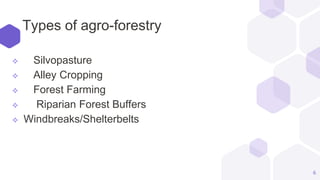Types of agro-forestry
 Silvopasture
 Alley Cropping
 Forest Farming
 Riparian Forest Buffers
 Windbreaks/Shelterbelts
6
 