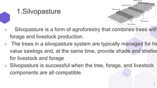 1.Silvopasture
7
 Silvopasture is a form of agroforestry that combines trees with
forage and livestock production.
 The trees in a silvopasture system are typically managed for hig
value sawlogs and, at the same time, provide shade and shelter
for livestock and forage
 Silvopasture is successful when the tree, forage, and livestock
components are all compatible.
 