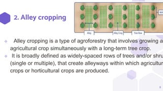 2. Alley cropping
 Alley cropping is a type of agroforestry that involves growing an
agricultural crop simultaneously with a long-term tree crop.
 It is broadly defined as widely-spaced rows of trees and/or shru
(single or multiple), that create alleyways within which agricultur
crops or horticultural crops are produced.
8
 