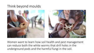 Think beyond moulds
Women want to learn how soil health and pest management
can reduce both the white worms that drill holes in the
underground pods and the harmful fungi in the soil.
 