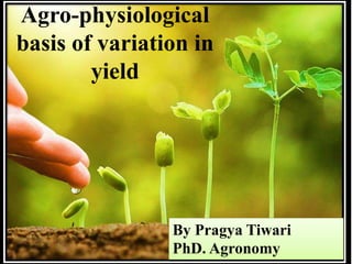 Agro-physiological
basis of variation in
yield
By Pragya Tiwari
PhD. Agronomy
 