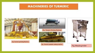Agro-processing complex | PPTX