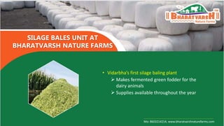 • Vidarbha’s first silage baling plant
 Makes fermented green fodder for the
dairy animals
 Supplies available throughou...