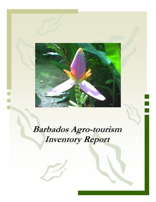 Barbados Agro-tourism
   Inventory Report
 