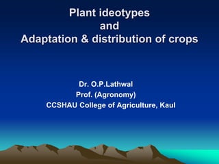 Plant ideotypes
and
Adaptation & distribution of crops
Dr. O.P.Lathwal
Prof. (Agronomy)
CCSHAU College of Agriculture, Kaul
 