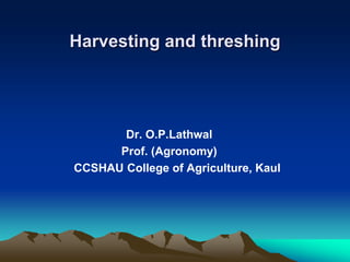 Harvesting and threshing
Dr. O.P.Lathwal
Prof. (Agronomy)
CCSHAU College of Agriculture, Kaul
 