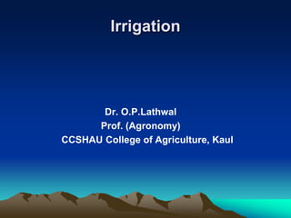 Irrigation
Dr. O.P.Lathwal
Prof. (Agronomy)
CCSHAU College of Agriculture, Kaul
 