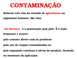 CONTAMINAÇÃO   Existem três vias de entrada de  agrotóxicos  no  organismo humano. São elas:   via dérmica -  é a penetração pela pele. É a mais frequente e ocorre: pelo contato direto com os produtos; pelo uso de roupas contaminadas ou  pela exposição contínua à névoa do produto, formada no momento da aplicação; 