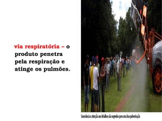 via respiratória –  o produto penetra pela respiração e atinge os pulmões. 