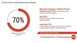 STRUCTURE OF CORN PRODUCTION IN UKRAINE
produced on the territory
of Ukraine
Monsanto Company + DuPont Pioneer
outsource up to 25% of the Ukrainian seed
producers production capacity
up to 30%
is held by domestic producers with their own
Ukrainian selection
more than 10%
of seeds produced in Ukraine are exported to neighboring
countries: Belarus, Moldova, Georgia and others.
4.9 thousand tons 8 thousand tons +63%
70%
Export dynamics since 2015-2016
 