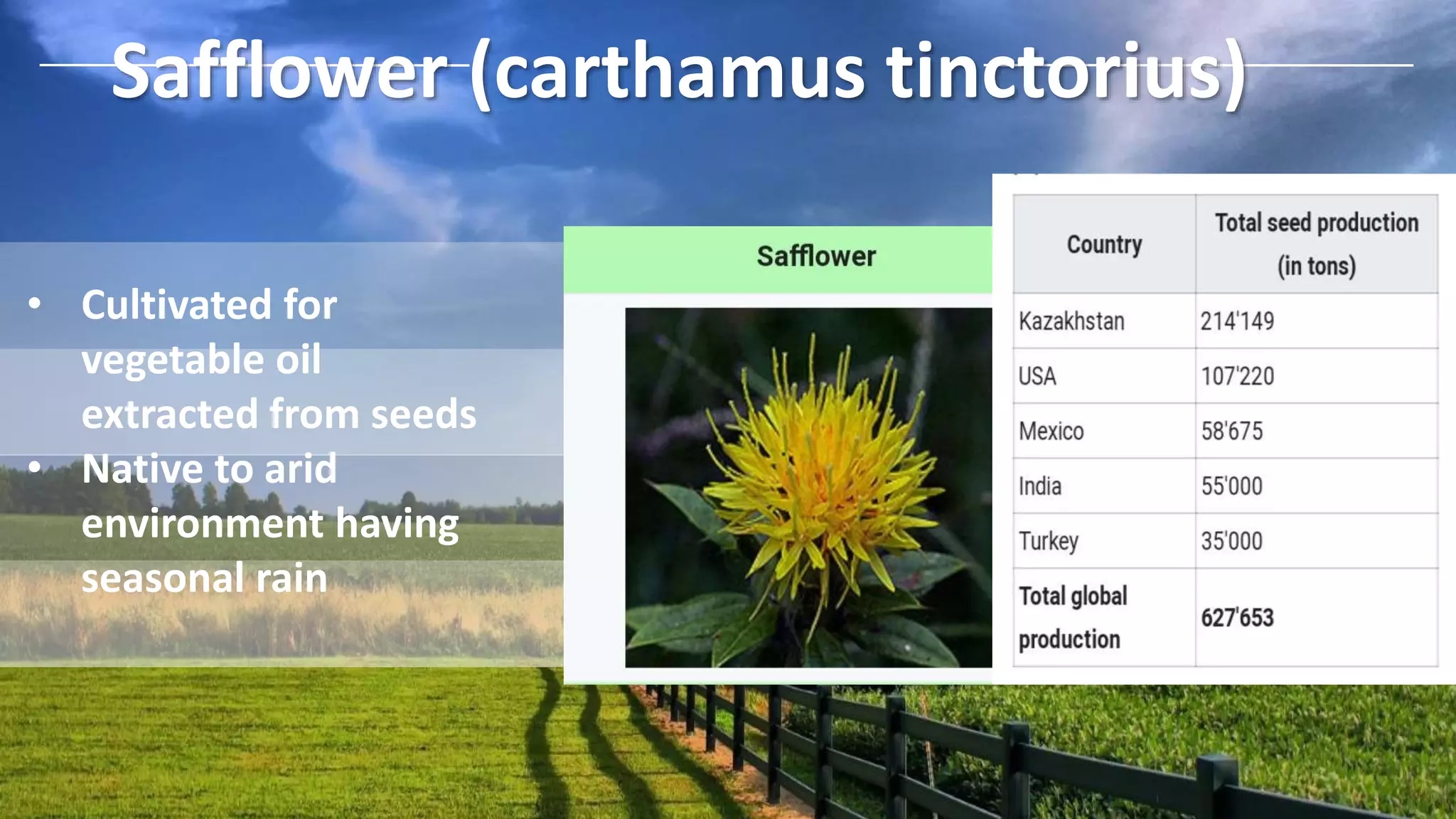 Oil Seed Crops PPTX oil-seed-crops-pptx
