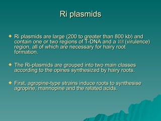Ri plasmids

   Ri plasmids are large (200 to greater than 800 kb) and
    contain one or two regions of T-DNA and a vir (virulence)
    region, all of which are necessary for hairy root
    formation.

   The Ri-plasmids are grouped into two main classes
    according to the opines synthesized by hairy roots.

   First, agropine-type strains induce roots to synthesise
    agropine, mannopine and the related acids.
 