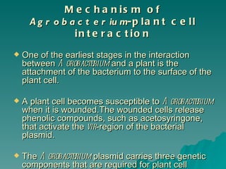 M e c h a n is m o f
     A g r o b a c t e r iu m-p l a n t c e l l
                in t e r a c t io n
   One of the earliest stages in the interaction
    between A grobacterium and a plant is the
    attachment of the bacterium to the surface of the
    plant cell.

   A plant cell becomes susceptible to A grobacterium
    when it is wounded.The wounded cells release
    phenolic compounds, such as acetosyringone,
    that activate the vir-region of the bacterial
    plasmid.

   The A grobacterium plasmid carries three genetic
    components that are required for plant cell
 