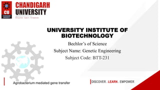 DISCOVER . LEARN . EMPOWER
Agrobacterium mediated gene transfer
UNIVERSITY INSTITUTE OF
BIOTECHNOLOGY
Bechlor’s of Science
Subject Name: Genetic Engineering
Subject Code: BTT-231
 