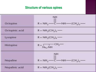 Structure of various opines
 