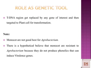  T-DNA region get replaced by any gene of interest and then
targeted to Plant cell for transformation.
Note:
 Monocot are not good host for Agrobacterium.
 There is a hypothetical believe that monocot are resistant to
Agrobacterium because they do not produce phenolics that can
induce Virulence genes.
 