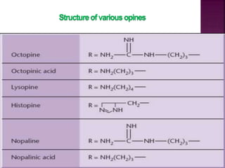 Structureofvariousopines
 