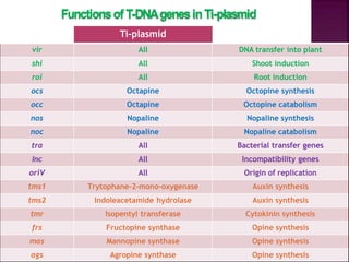 FunctionsofT-DNAgenesinTi-plasmid
vir All DNA transfer into plant
shi All Shoot induction
roi All Root induction
ocs Octapine Octopine synthesis
occ Octapine Octopine catabolism
nos Nopaline Nopaline synthesis
noc Nopaline Nopaline catabolism
tra All Bacterial transfer genes
Inc All Incompatibility genes
oriV All Origin of replication
tms1 Trytophane-2-mono-oxygenase Auxin synthesis
tms2 Indoleacetamide hydrolase Auxin synthesis
tmr Isopentyl transferase Cytokinin synthesis
frs Fructopine synthase Opine synthesis
mas Mannopine synthase Opine synthesis
ags Agropine synthase Opine synthesis
Genes Ti-plasmid Functions
 