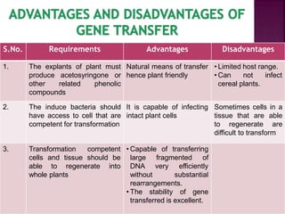 S.No. Requirements Advantages Disadvantages
1. The explants of plant must
produce acetosyringone or
other related phenolic
compounds
Natural means of transfer
hence plant friendly
• Limited host range.
• Can not infect
cereal plants.
2. The induce bacteria should
have access to cell that are
competent for transformation
It is capable of infecting
intact plant cells
Sometimes cells in a
tissue that are able
to regenerate are
difficult to transform
3. Transformation competent
cells and tissue should be
able to regenerate into
whole plants
• Capable of transferring
fragmented of
very
large
DNA
without
efficiently
substantial
rearrangements.
• The stability of gene
transferred is excellent.
 