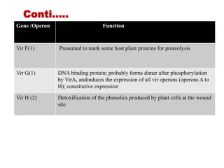 Gene /Operon Function
Vir F(1) Presumed to mark some host plant proteins for proteolysis
Vir G(1) DNA binding protein; probably forms dimer after phosphorylation
by VirA, andinduces the expression of all vir operons (operons A to
H); constitutive expression
Vir H (2) Detoxification of the phenolics produced by plant cells at the wound
site
Conti…..
 