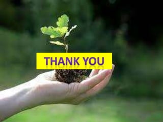 Agrobacterium -MGT.pptx