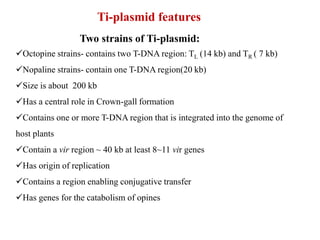 Ti-plasmid features
Two strains of Ti-plasmid:
Octopine strains- contains two T-DNA region: TL (14 kb) and TR ( 7 kb)
Nopaline strains- contain one T-DNA region(20 kb)
Size is about 200 kb
Has a central role in Crown-gall formation
Contains one or more T-DNA region that is integrated into the genome of
host plants
Contain a vir region ~ 40 kb at least 8~11 vir genes
Has origin of replication
Contains a region enabling conjugative transfer
Has genes for the catabolism of opines
 