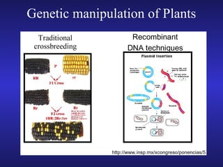 Genetic manipulation of Plants
 