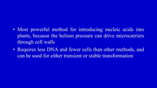 • Most powerful method for introducing nucleic acids into
plants, because the helium pressure can drive microcarriers
through cell walls
• Requires less DNA and fewer cells than other methods, and
can be used for either transient or stable transformation
 