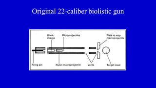 Original 22-caliber biolistic gun
 